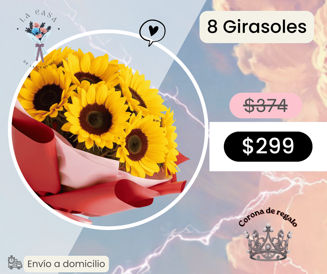 8 Girasoles