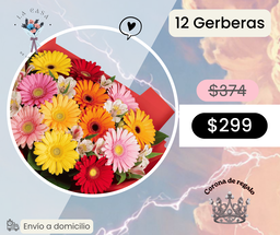 12 Gerberas
