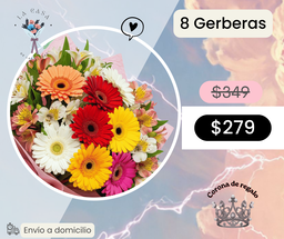 8 Gerberas