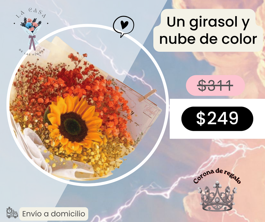 Un girasol y nube de color