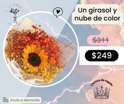 Un girasol y nube de color