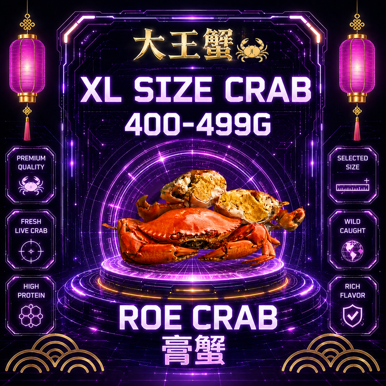 XL SIZE 膏蟹 (400-499G)