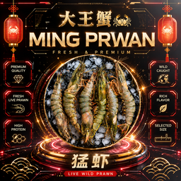 LIVE PRAWN 生猛明虾