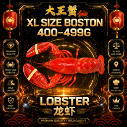 BOSTON LOBSTER 波斯顿龙虾 (400-499G)