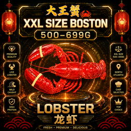 BOSTON LOBSTER 波斯顿龙虾 (500-699G)