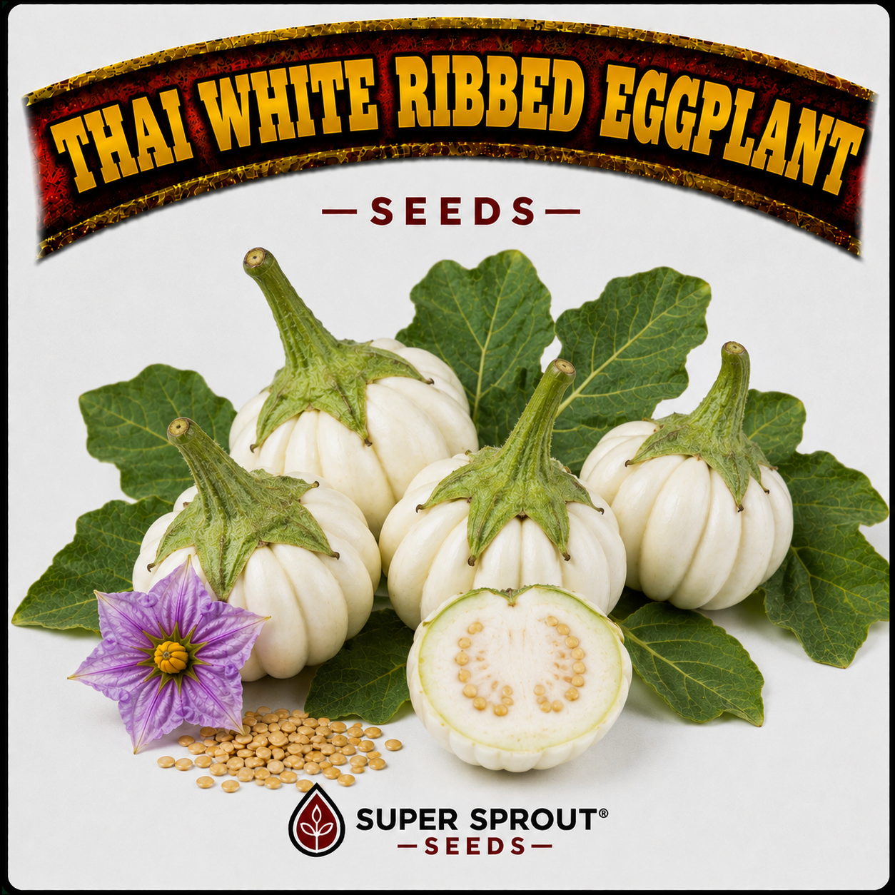 Exotic Eggplant combo pack x 6 packs_4