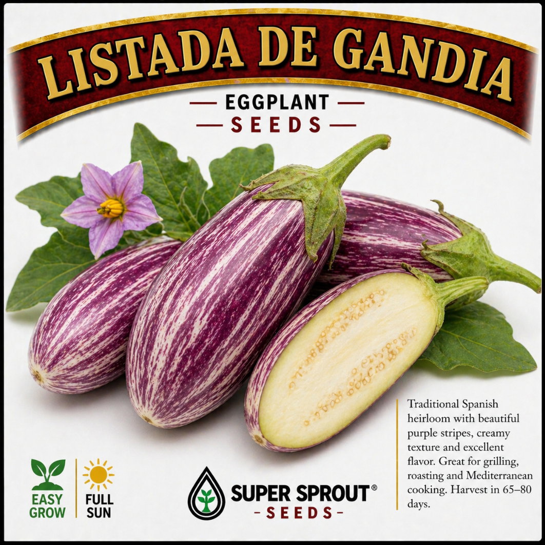 Exotic Eggplant combo pack x 6 packs_6