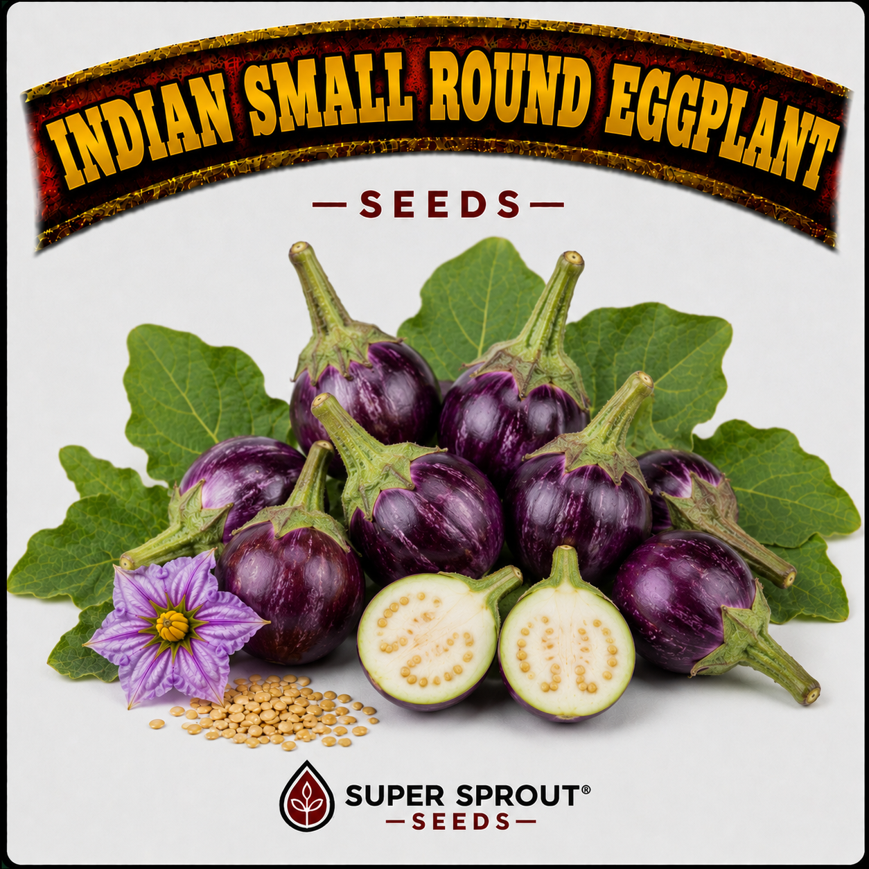 Exotic Eggplant combo pack x 6 packs_3