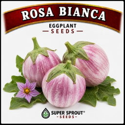 Exotic Eggplant combo pack x 6 packs