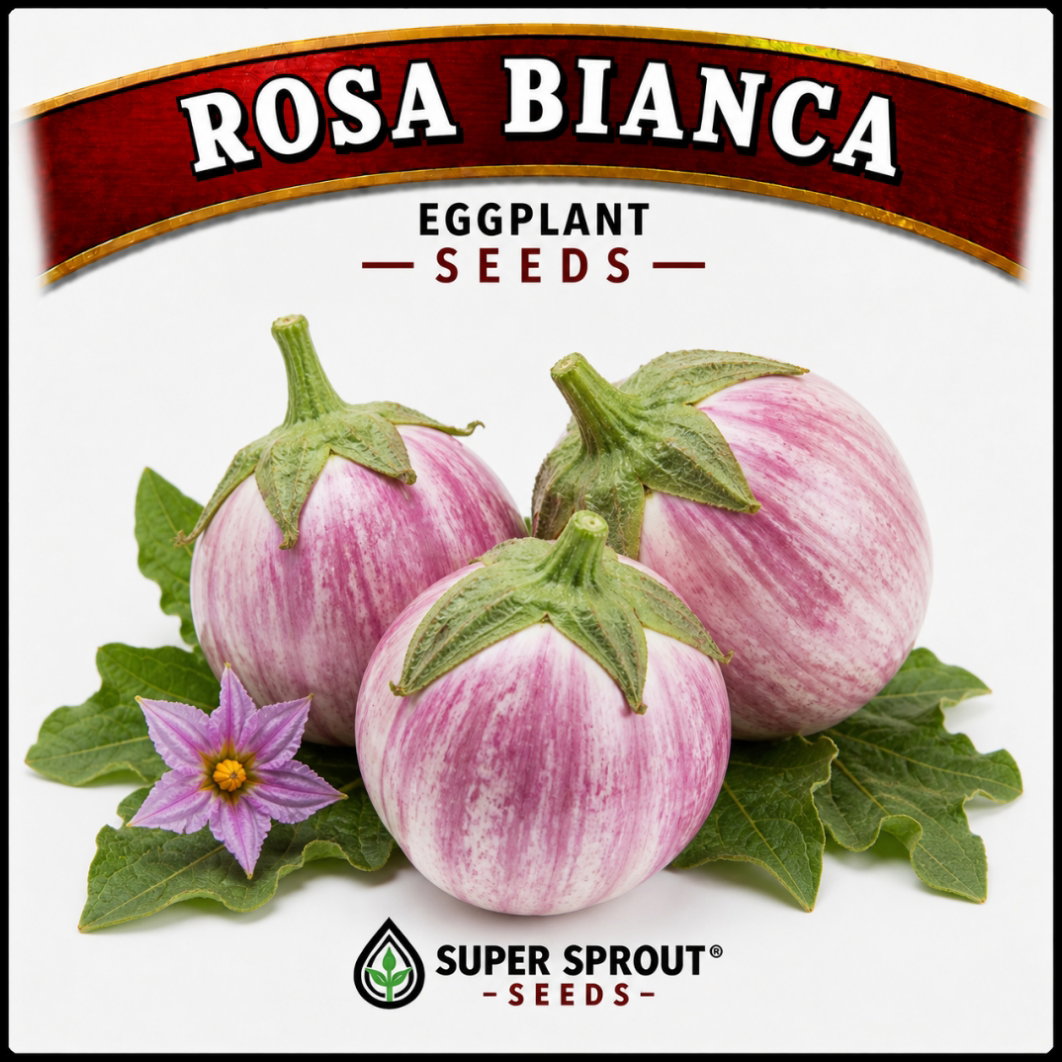 Exotic Eggplant combo pack x 6 packs_5