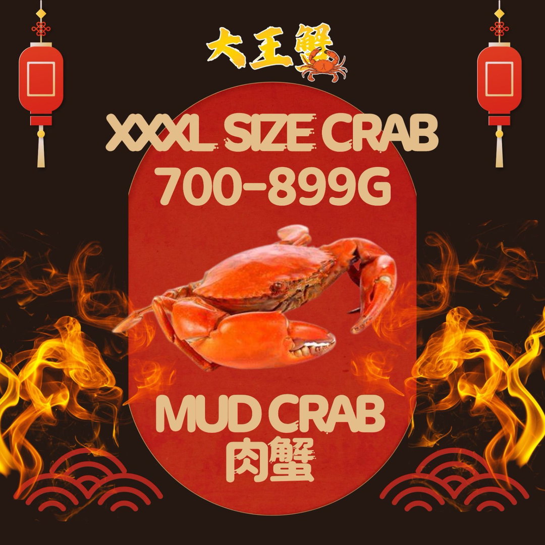 XXXL SIZE 肉蟹 700-899G)