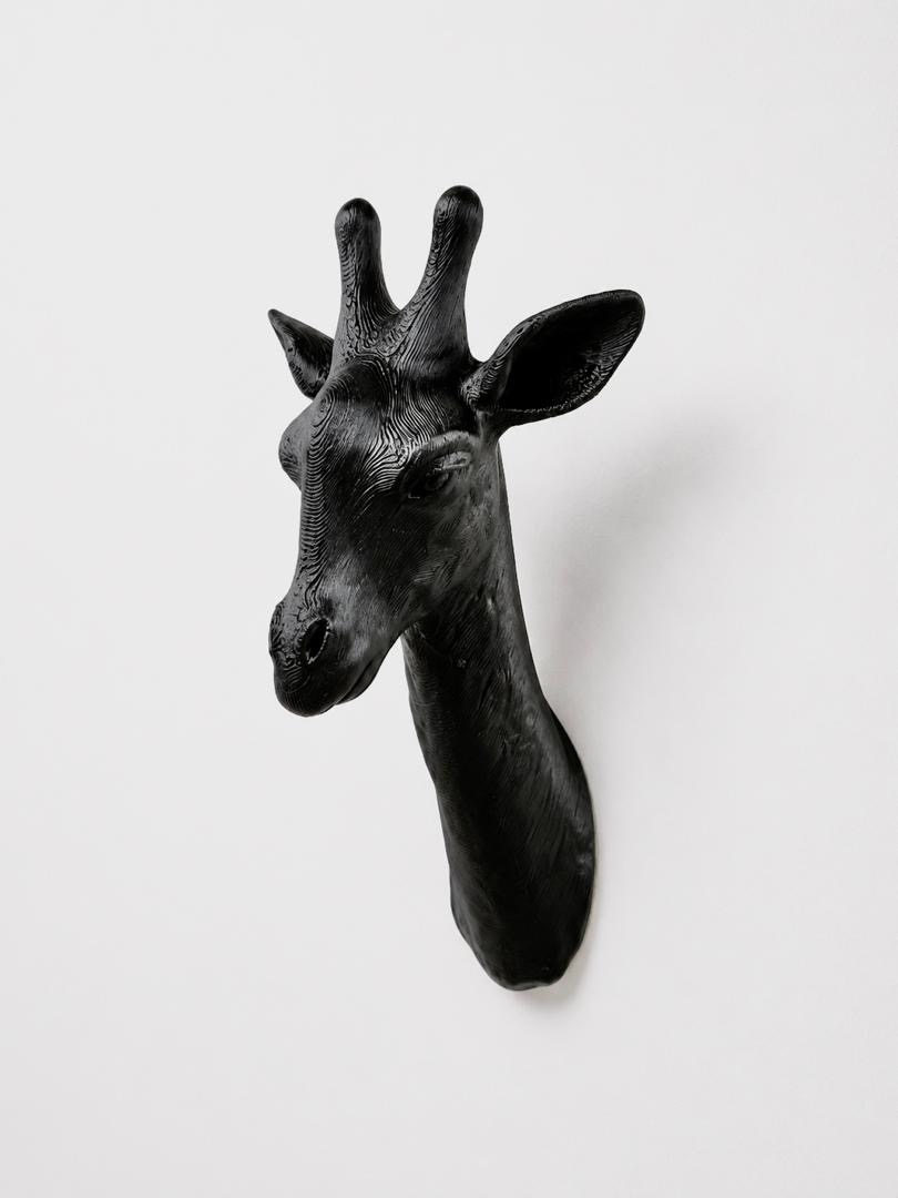 Giraffe Bust Wall Hook