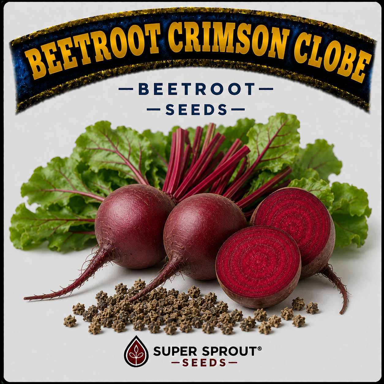 🌱BEETROOT CRIMSON CLOBE🌱 x 25+ seeds
