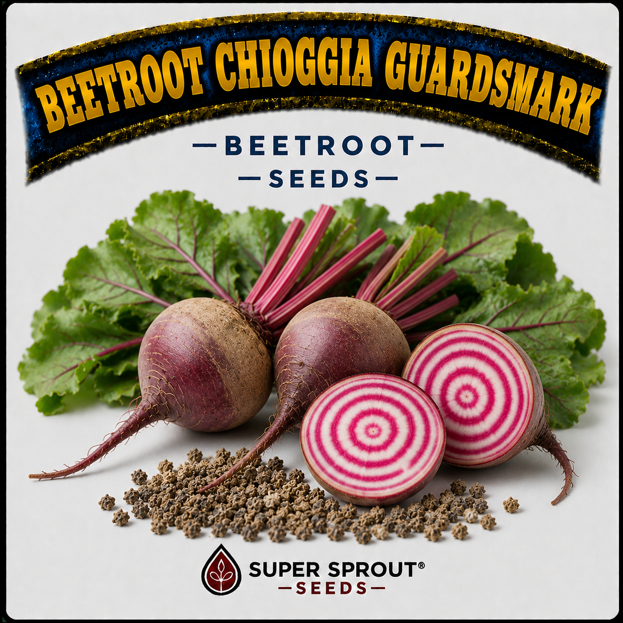 🥔BEETROOT CHIOGGIA GUARDSMARK  🥔 x 25 seeds