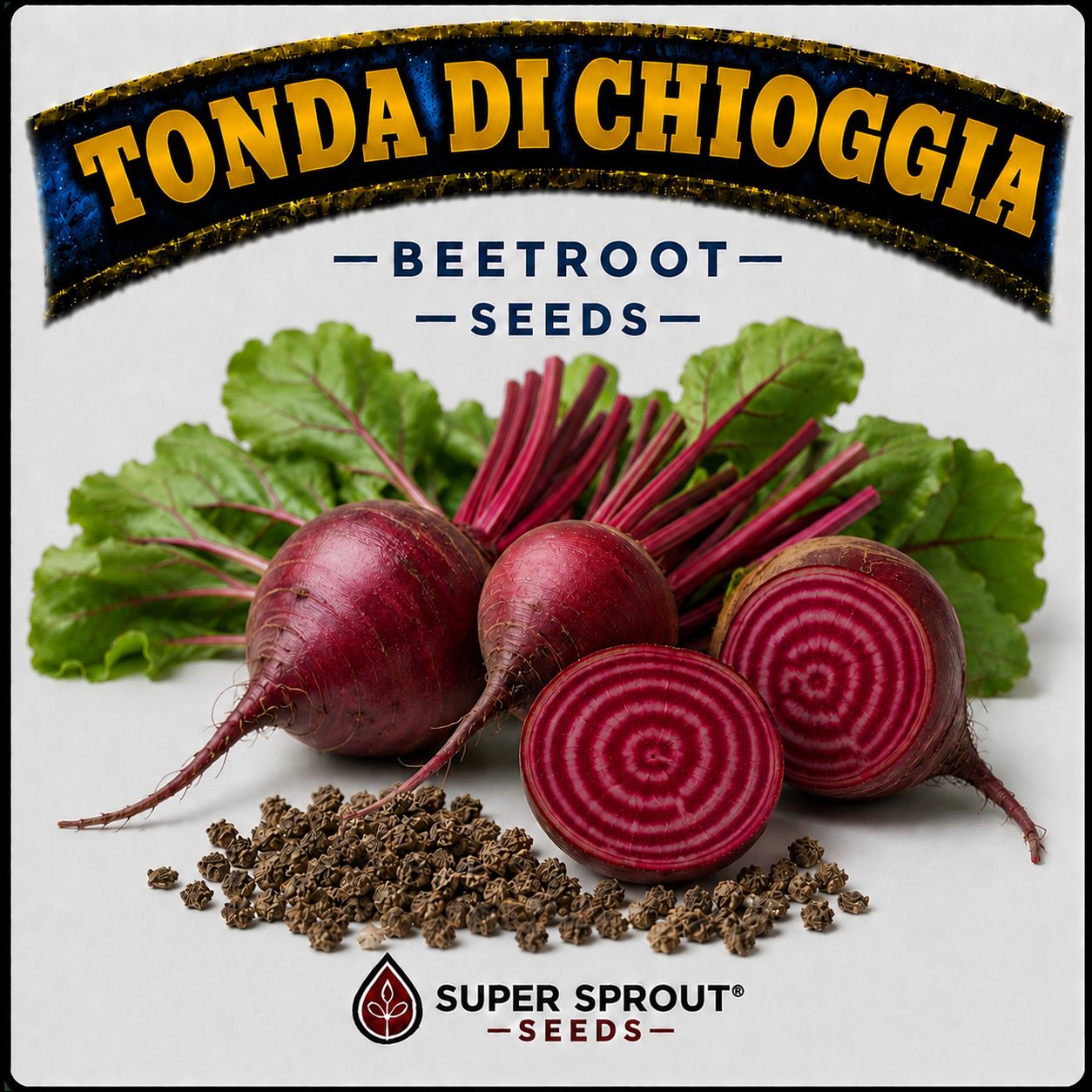 🥔TONDA DI CHIOGGIA    x 25 seeds