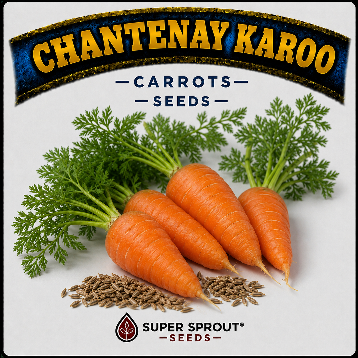 🥕CHANTENAY KAROO CARROTS 🥕 x 100+ seeds