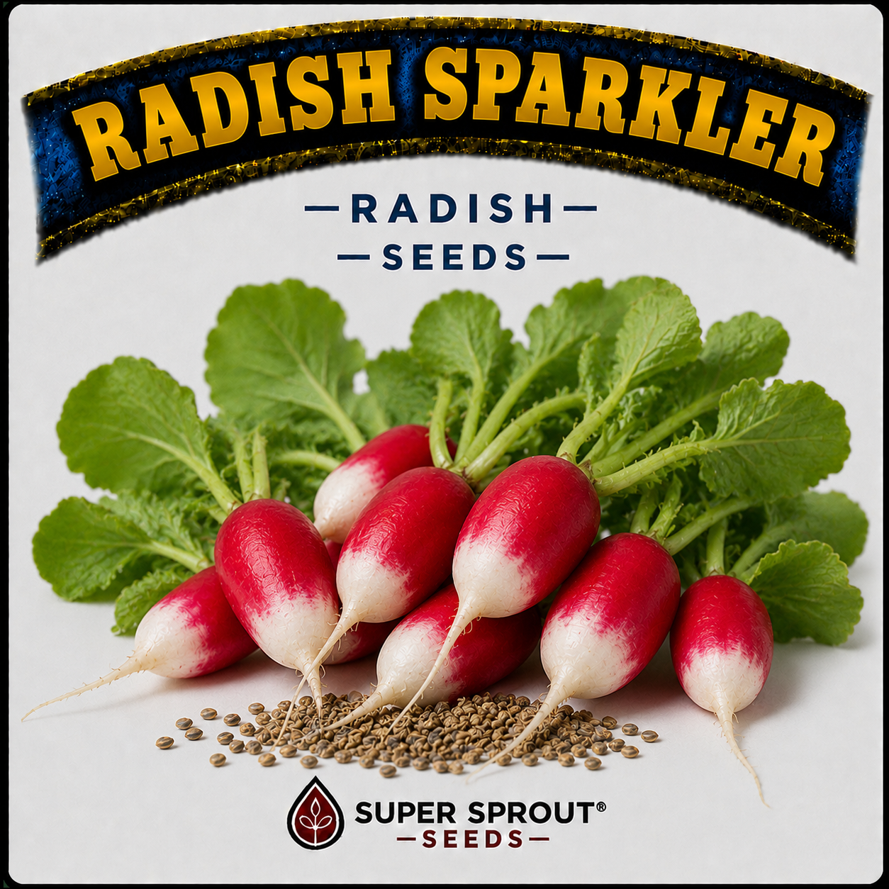 🌱RADISH SPARKLER🌱 x 25+ seeds