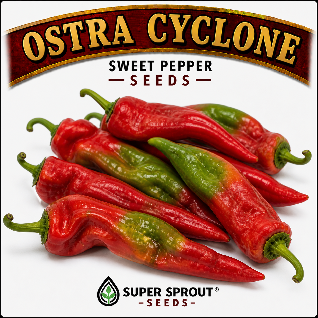 🫑HUNGARIAN PAPRIKA OSTRA CYCLONE🫑 x 10 organic seeds