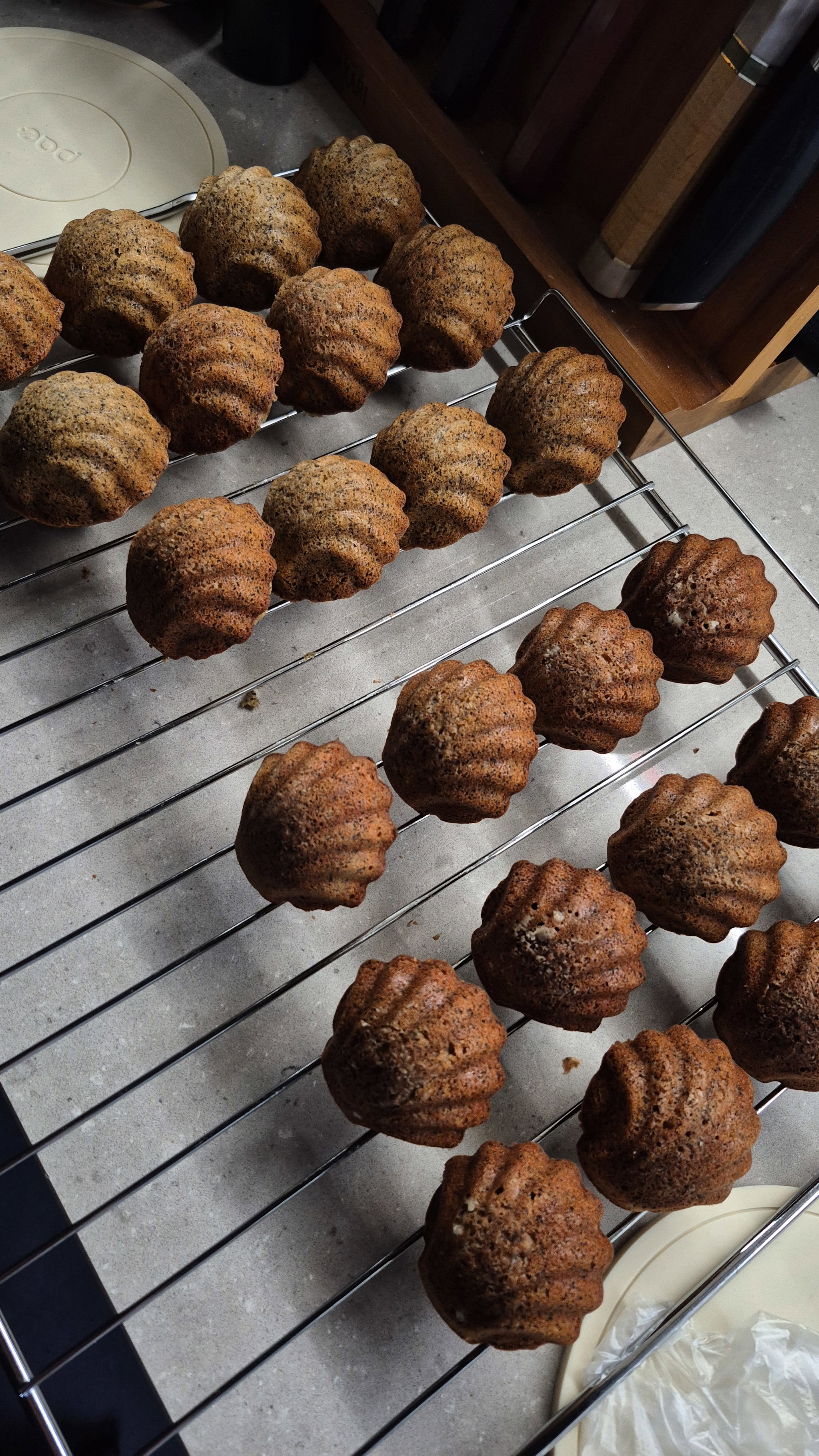 Individual Earl Grey Madeleines (Preorders Coming Soon!)_1