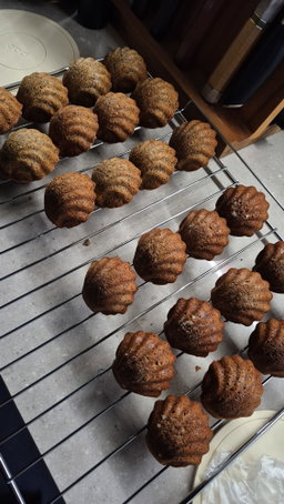 Individual Earl Grey Madeleines (Preorders Coming Soon!)