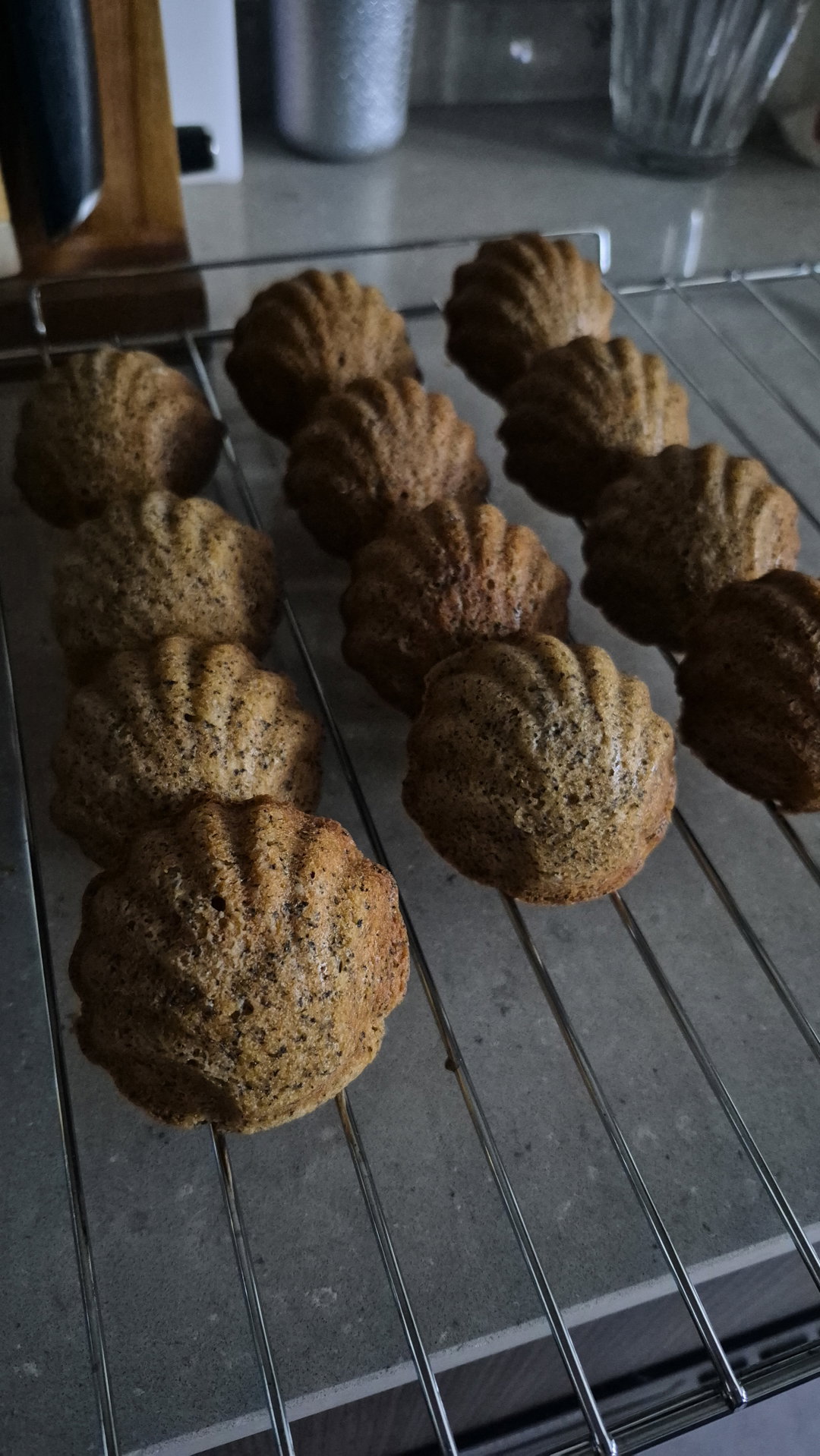 Individual Earl Grey Madeleines (Preorders Coming Soon!)