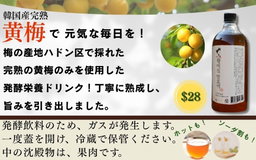 Korean Golden Plum Syrup 1L 하동권여사 황매실 韓国黄梅シロップ