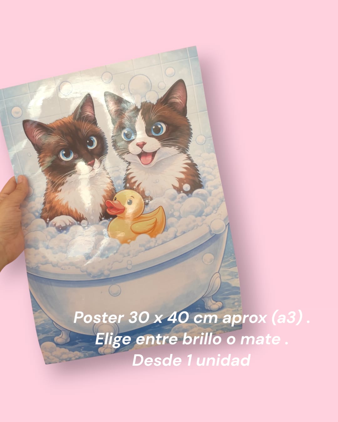 POSTER - CARTEL