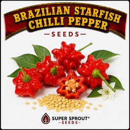 🌶BRIZILLIAN STARFISH PEPPER🌶 x 10+ organic seeds
