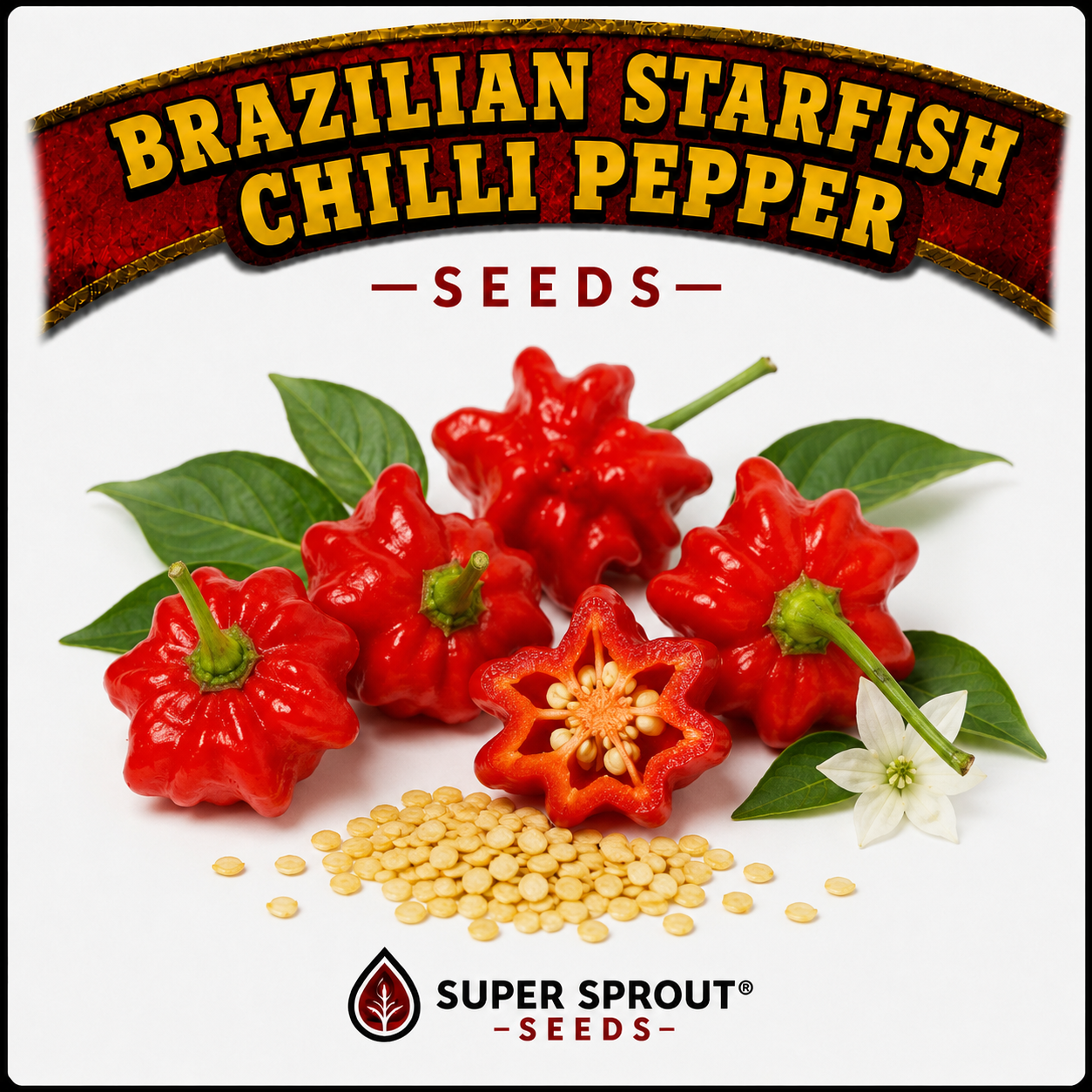 🌶BRIZILLIAN STARFISH PEPPER🌶 x 10+ organic seeds