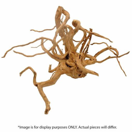 Spider Wood