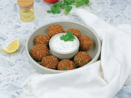 Falafal Plate