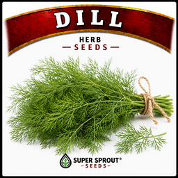 Essential Herb collection x 12 packs