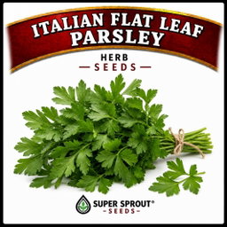Essential Herb collection x 12 packs
