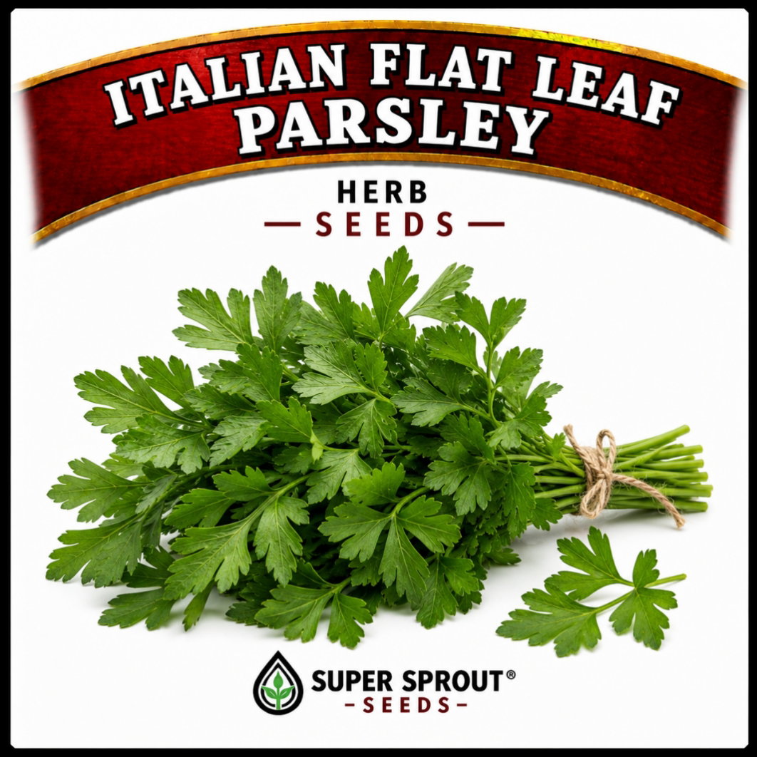 Essential Herb collection x 12 packs_4