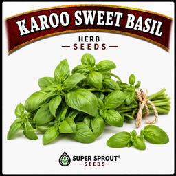 Essential Herb collection x 12 packs