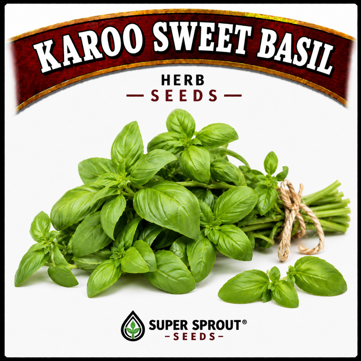Essential Herb collection x 12 packs_7