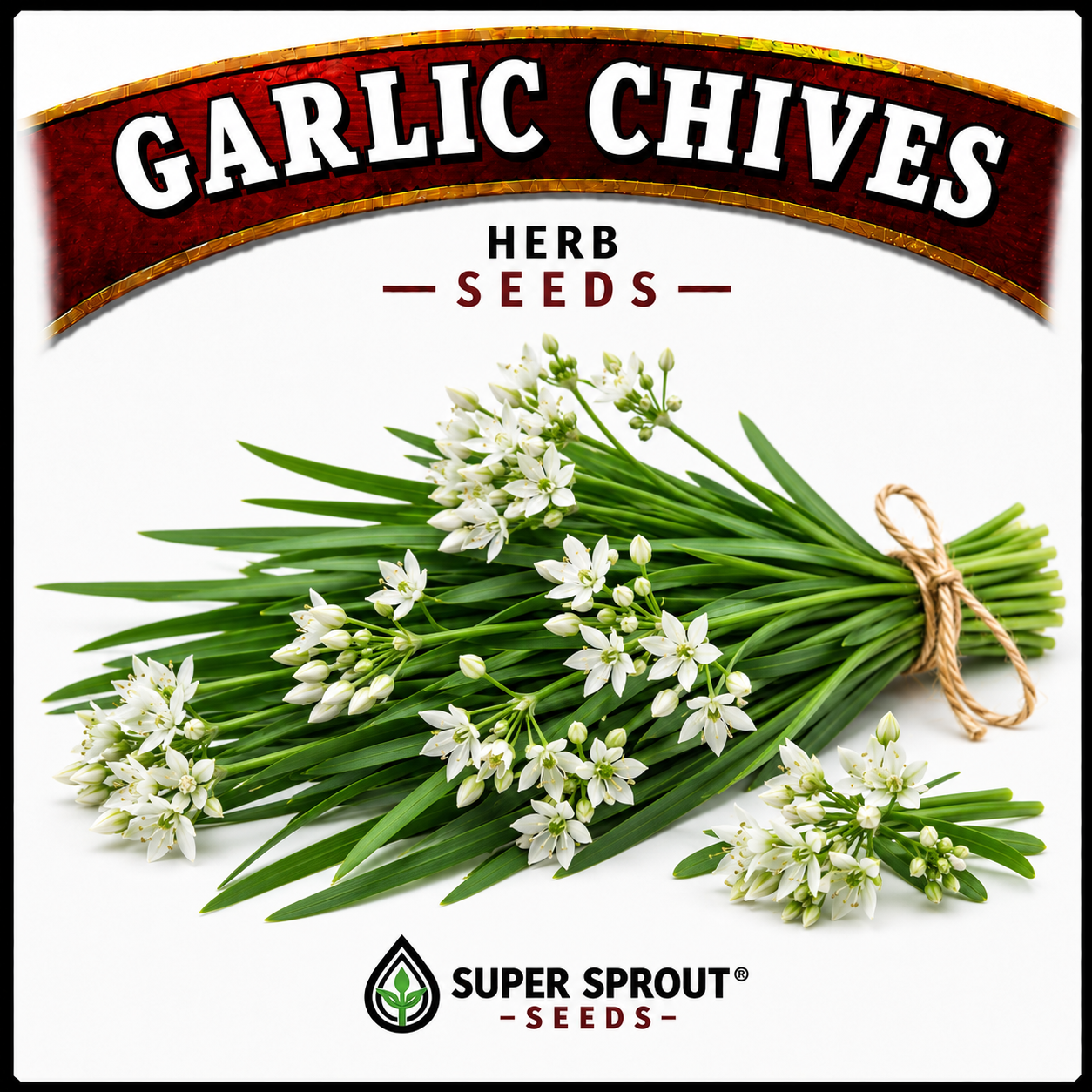 Essential Herb collection x 12 packs_5