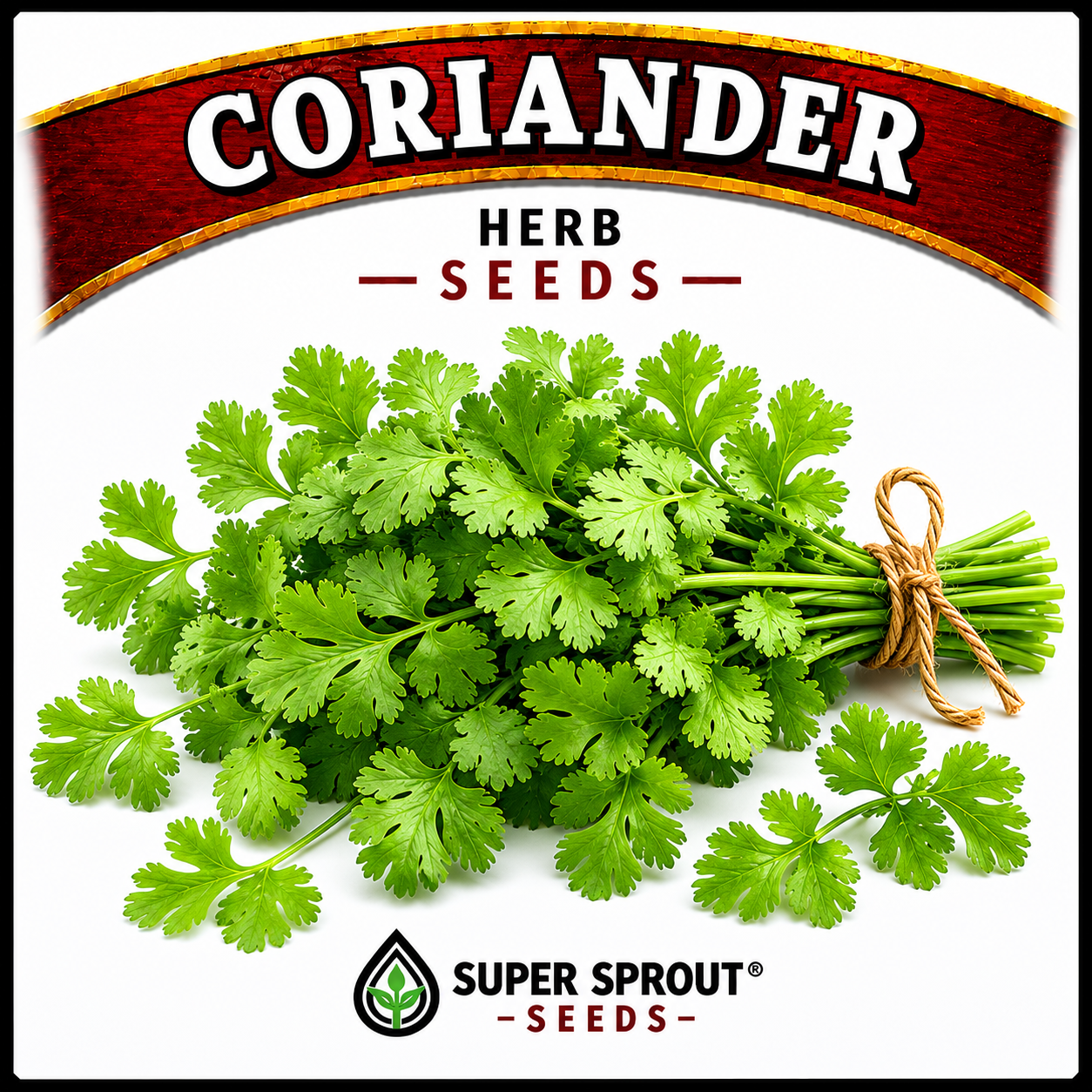 Essential Herb collection x 12 packs_6