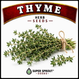 Essential Herb collection x 12 packs