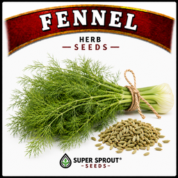 Essential Herb collection x 12 packs