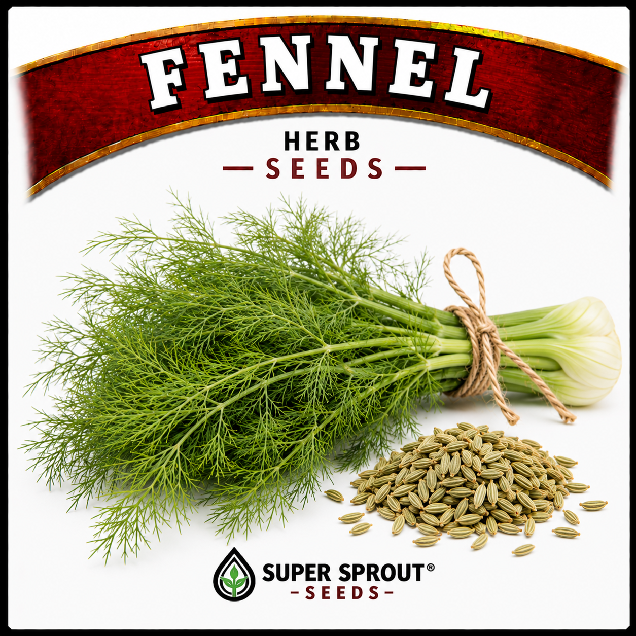 Essential Herb collection x 12 packs_9