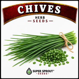 Essential Herb collection x 12 packs