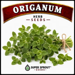 Essential Herb collection x 12 packs