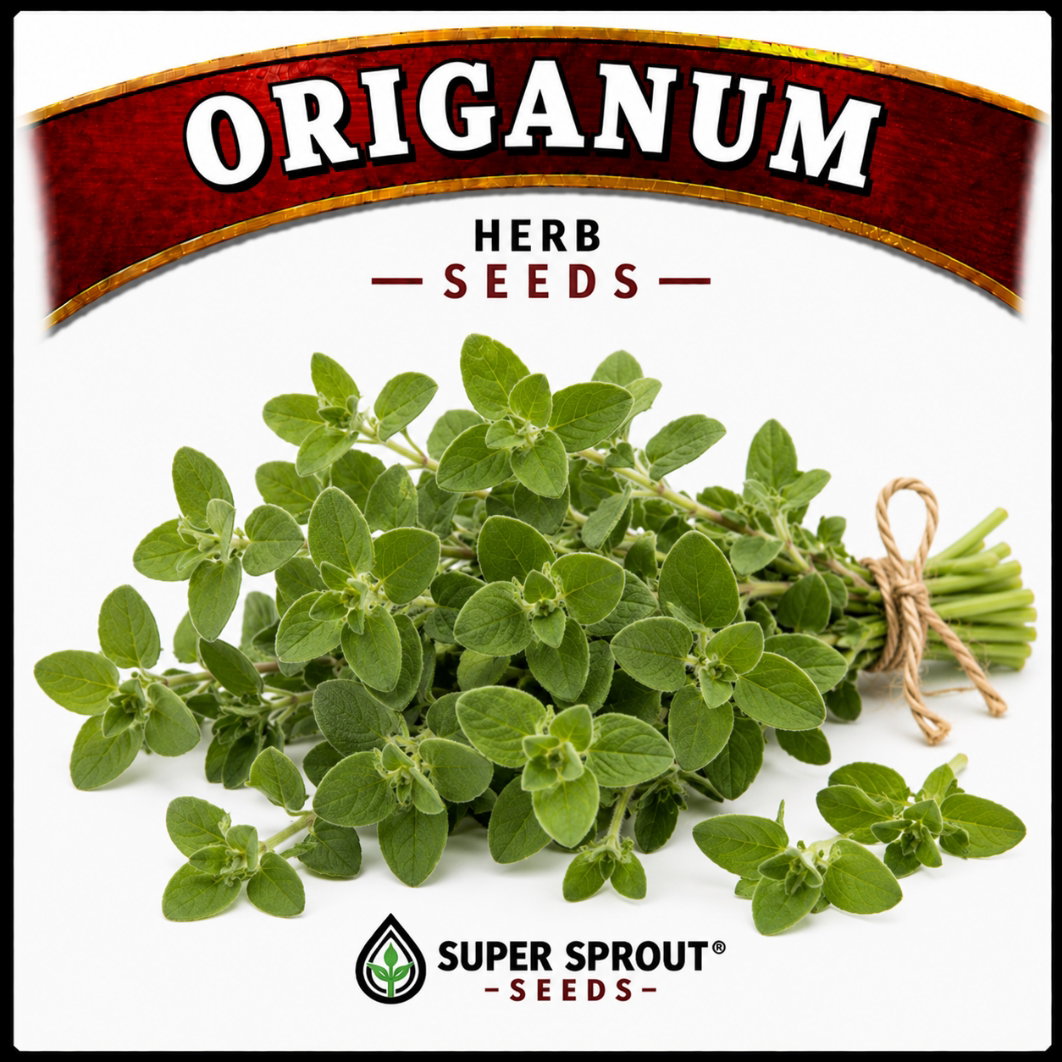 Essential Herb collection x 12 packs_11