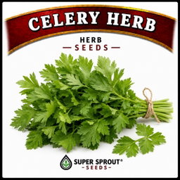Essential Herb collection x 12 packs