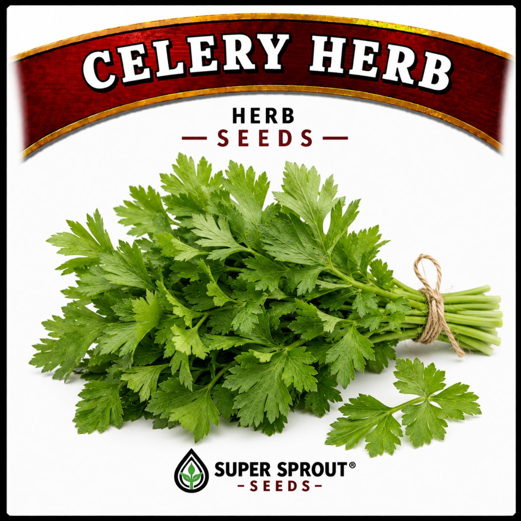 Essential Herb collection x 12 packs_13