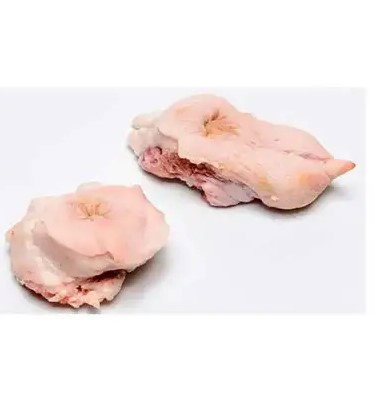CALACASA CAIXA