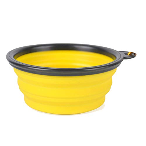  Pet Bowl  
