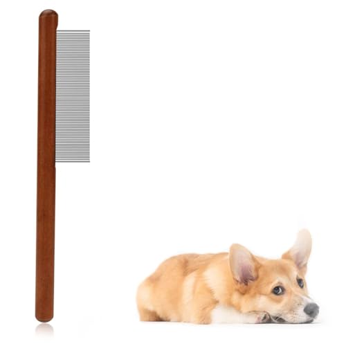 Emily pets Pet comb  