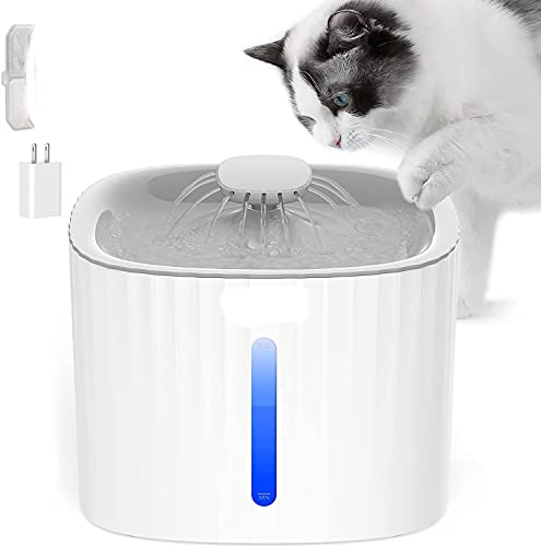  Pet Fountain